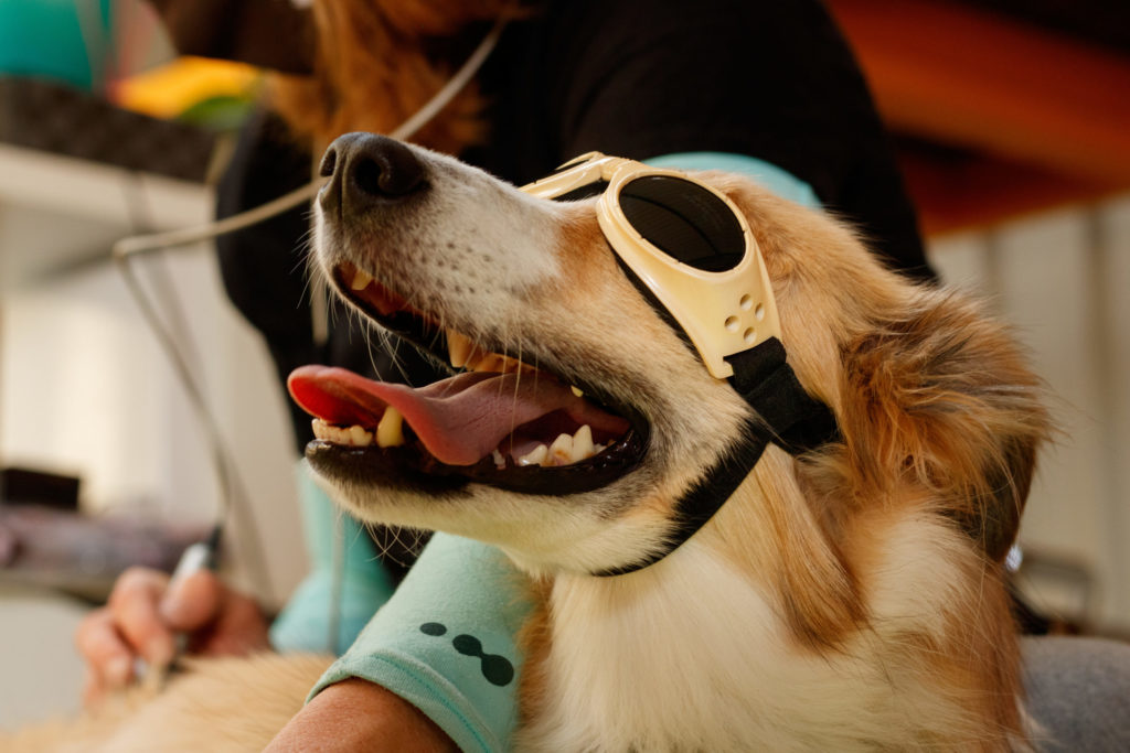 AdobeStock_390582963-scaled AdobeStock_390582963-scaled